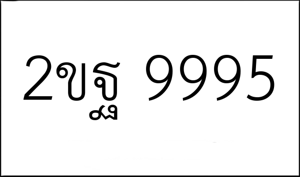 2ขฐ 9995